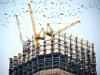 General Contracting